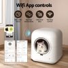 PET-CLB-APP-WH-139391-04