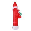 XMAS-INF-SANDOOR-10FT-03