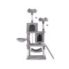 PET-CAT-L161-GR-139414-02