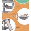 PET-CAT-L161-GR-139414-04
