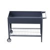 GARDEN-AG-PLAT-ROLLX2-202504171501-02