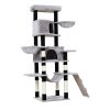 PET-CAT-APS021-GR-49426-02