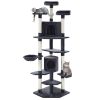 PET-CAT-PCTOP-GR-18871-00