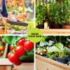 GARDEN-WOOD-PLAT-12060X2-202505131408-03