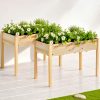 GARDEN-WOOD-PLAT-12060X2-202505131408-06