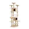 PET-CAT-PCTOP-BE-5525-00