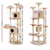 PET-CAT-PCTOP-BE-5525-01