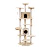PET-CAT-PCTOP-BE-5525-02