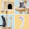 PET-CAT-PCTOP-BE-5525-04