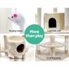 PET-CAT-PCTOP-BE-5525-06