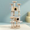 PET-CAT-PCTOP-BE-5525-07