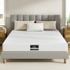 FOAM-C-MFM-PURE-H20-D-202507101412-06