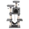 PET-CAT-706FSB-LTGR-202506111511-02