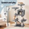 PET-CAT-706FSB-LTGR-202506111511-03