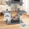 PET-CAT-706FSB-LTGR-202506111511-04