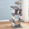 PET-CAT-706FSB-LTGR-202506111511-06