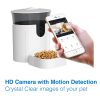 V1031-T4P-FEEDCAM7L-202507041115-02