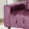 V1041-JSF-5108-1RAISIN-202507151111-04