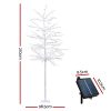 XM-TR-TWIG-SOLAR-210-WW-88653-01