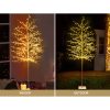 XM-TR-TWIG-SOLAR-210-WW-88653-05